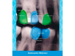 Seitenzahn Matrizen