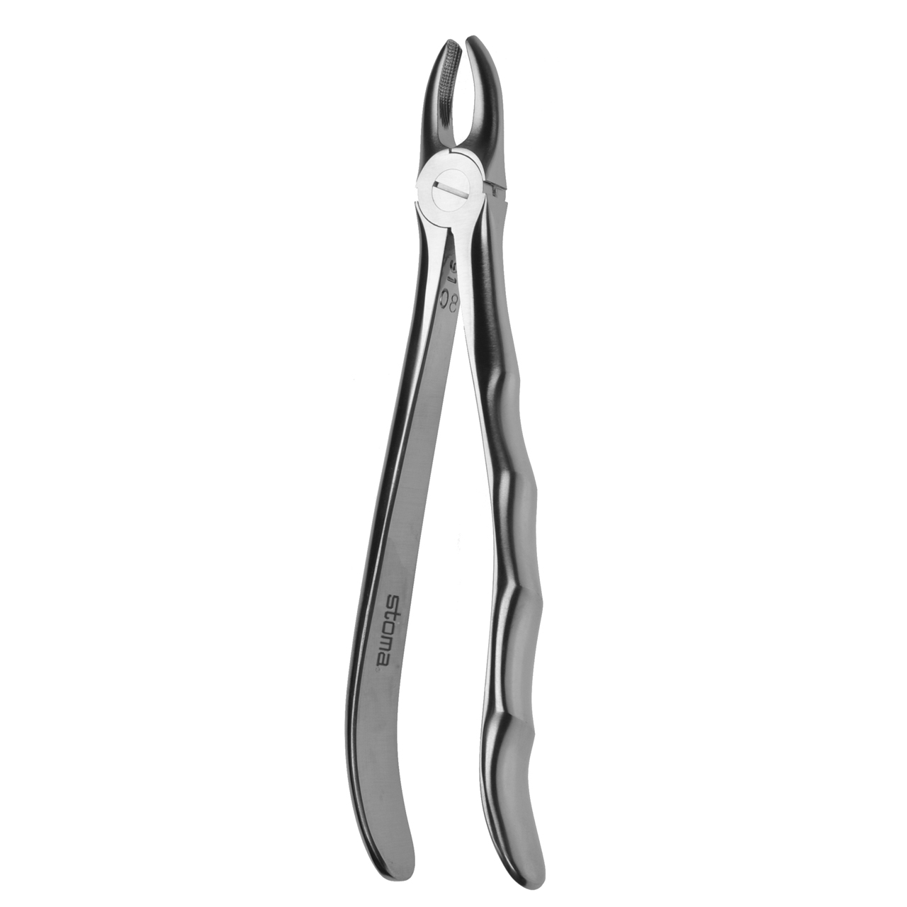Zahnzange OK Schneide- und Eckzähne, breit, Fig. 1, Fifo- 50% Aktion