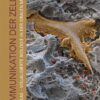 Kommunikation der Zellen: Zellatlas - Visualisierte Biologie in der Oralen Mediz