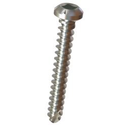 micro-screw