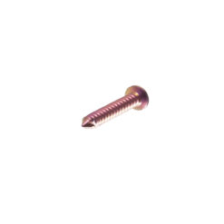 Vis en titane, tête cruciforme, longueur 10 mm - diamètre 1,6 mm, rouge